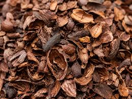 Cocoa Shells